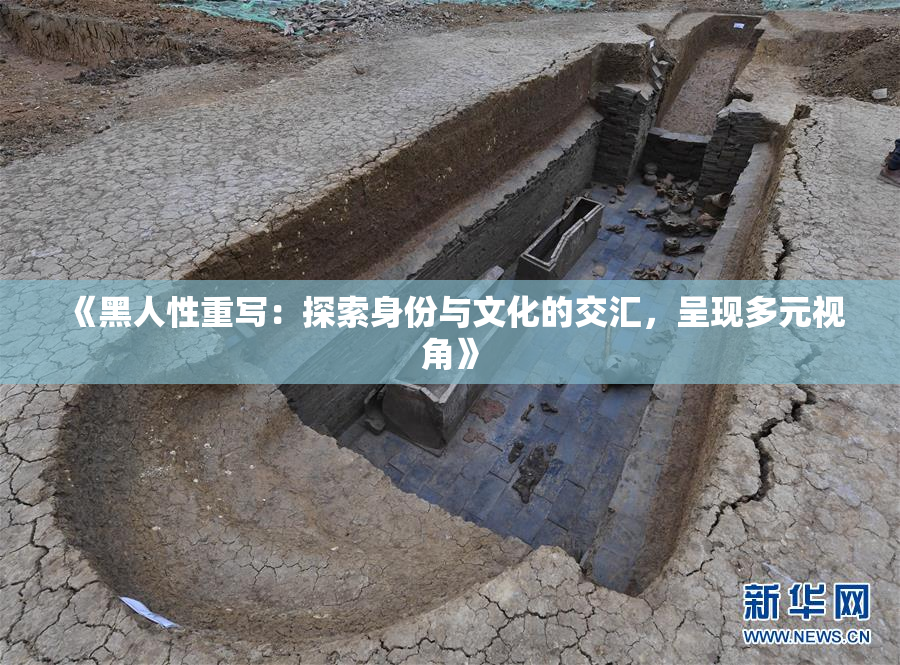 《黑人性重写：探索身份与文化的交汇，呈现多元视角》
