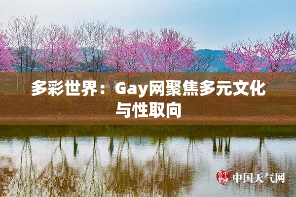多彩世界：Gay网聚焦多元文化与性取向