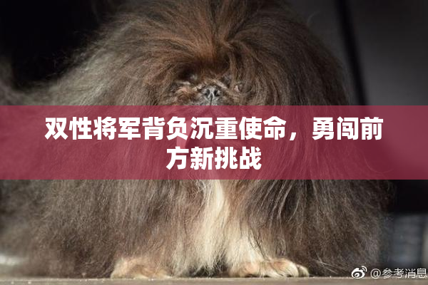 双性将军背负沉重使命，勇闯前方新挑战