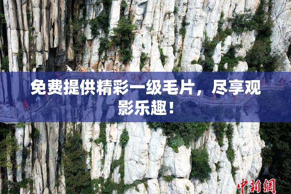 免费提供精彩一级毛片，尽享观影乐趣！