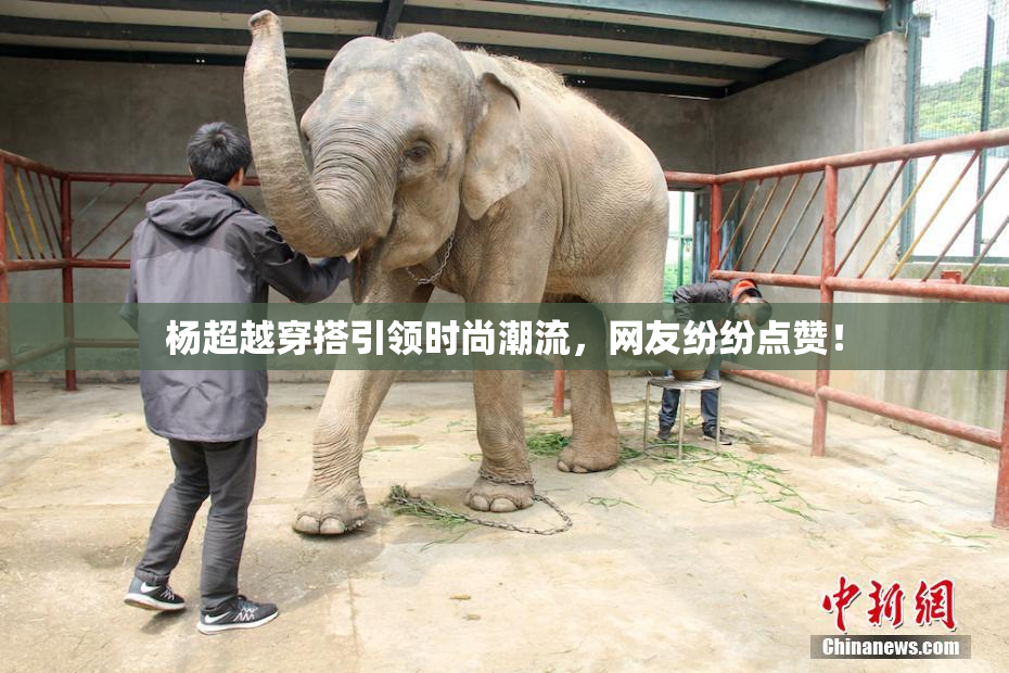杨超越穿搭引领时尚潮流，网友纷纷点赞！