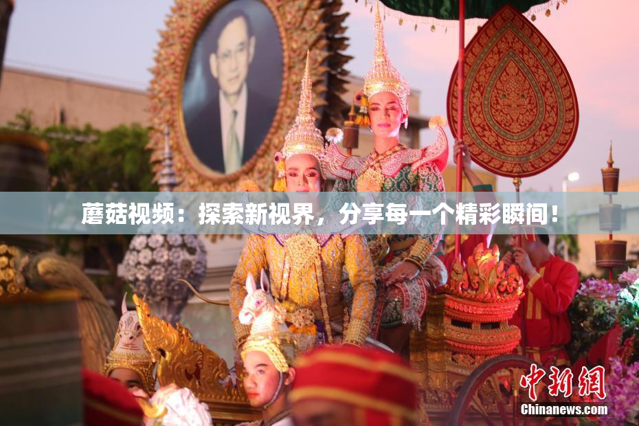 蘑菇视频：探索新视界，分享每一个精彩瞬间！