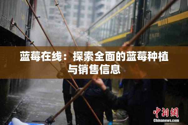 蓝莓在线：探索全面的蓝莓种植与销售信息