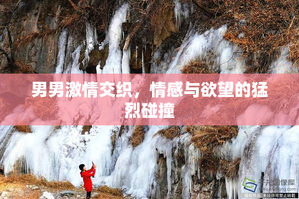 男男激情交织，情感与欲望的猛烈碰撞