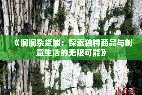 《洞洞杂货铺：探索独特商品与创意生活的无限可能》
