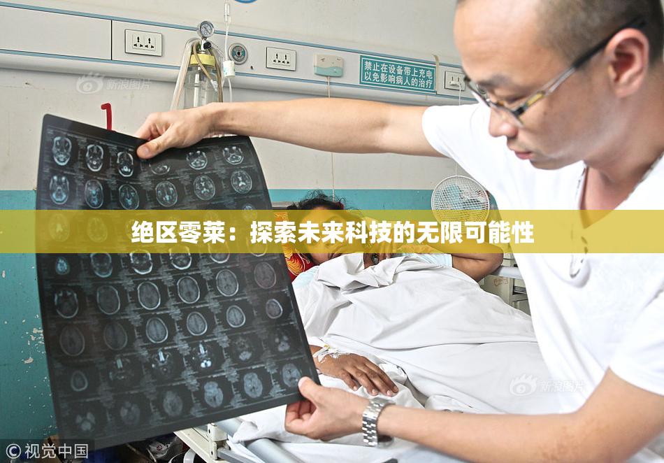 绝区零莱：探索未来科技的无限可能性