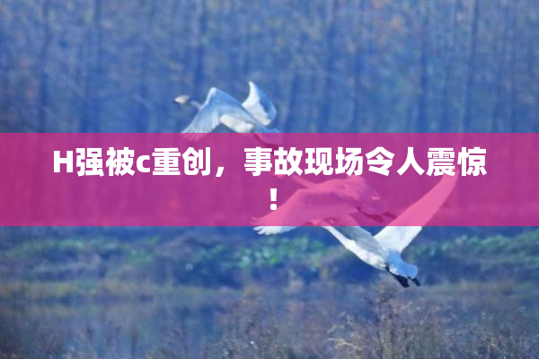 H强被c重创，事故现场令人震惊！