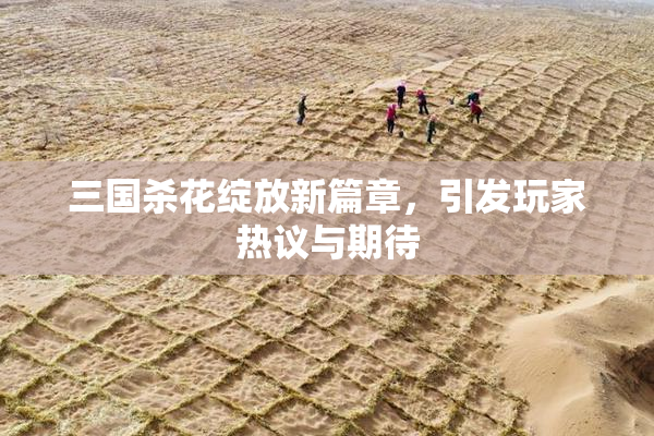 三国杀花绽放新篇章，引发玩家热议与期待