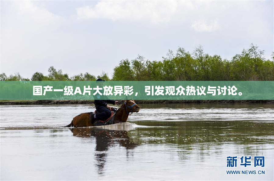 国产一级A片大放异彩，引发观众热议与讨论。