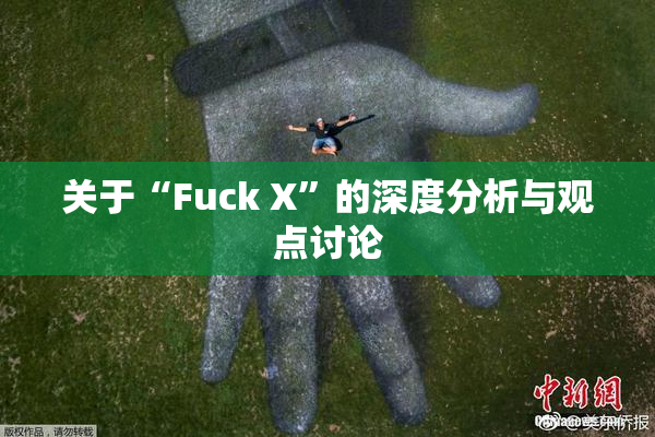 关于“Fuck X”的深度分析与观点讨论