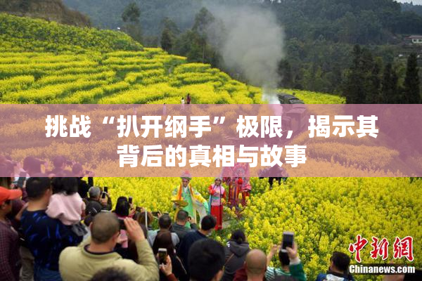 挑战“扒开纲手”极限，揭示其背后的真相与故事