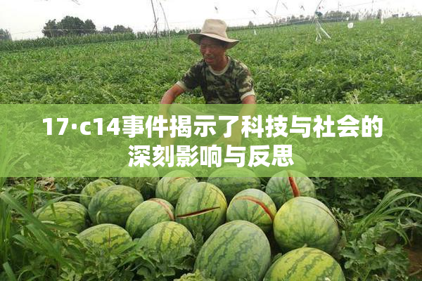 17·c14事件揭示了科技与社会的深刻影响与反思