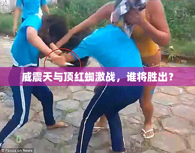 威震天与顶红蜘激战，谁将胜出？