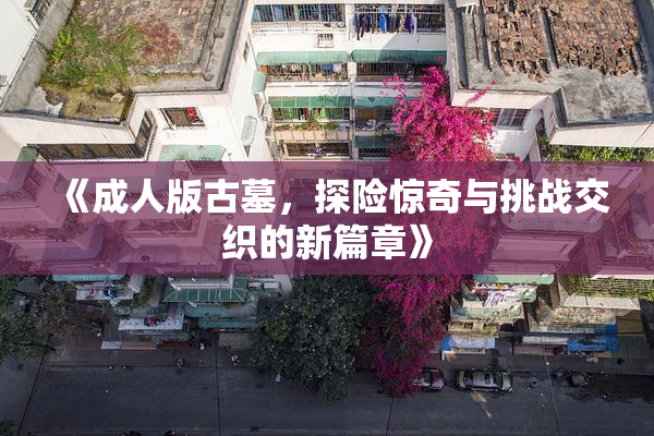 《成人版古墓，探险惊奇与挑战交织的新篇章》