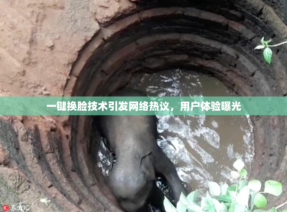 一键换脸技术引发网络热议，用户体验曝光