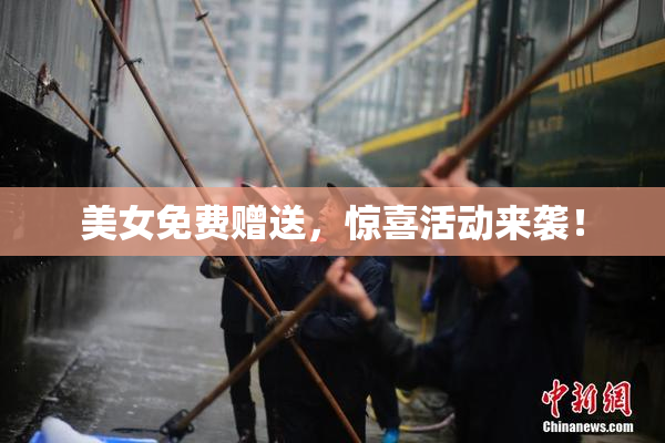 美女免费赠送，惊喜活动来袭！