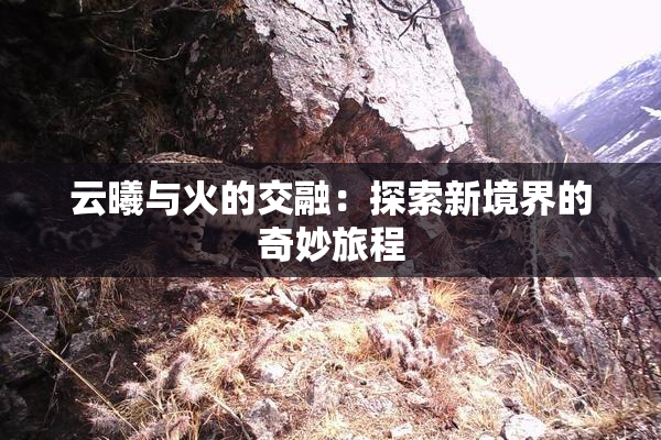 云曦与火的交融：探索新境界的奇妙旅程