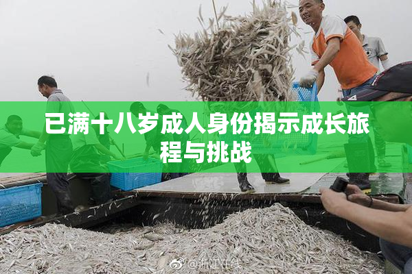 已满十八岁成人身份揭示成长旅程与挑战