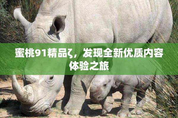 蜜桃91精品ζ，发现全新优质内容体验之旅