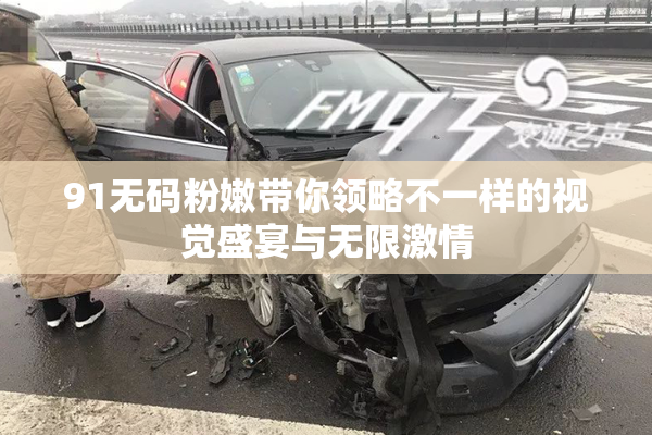 91无码粉嫩带你领略不一样的视觉盛宴与无限激情