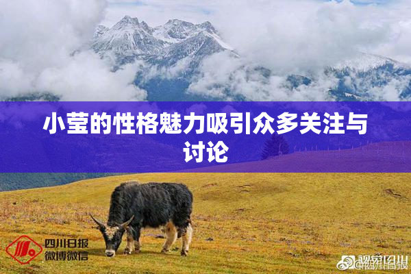 小莹的性格魅力吸引众多关注与讨论