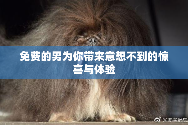 免费的男为你带来意想不到的惊喜与体验