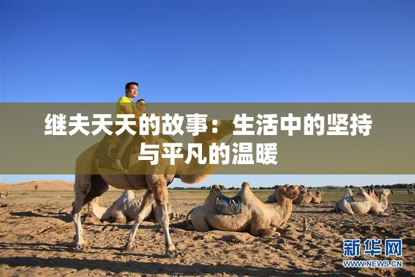 继夫天天的故事：生活中的坚持与平凡的温暖