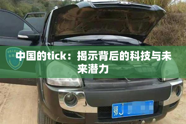 中国的tick：揭示背后的科技与未来潜力