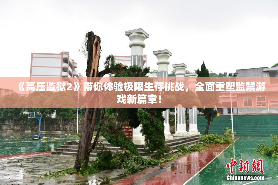 《高压监狱2》带你体验极限生存挑战，全面重塑监禁游戏新篇章！