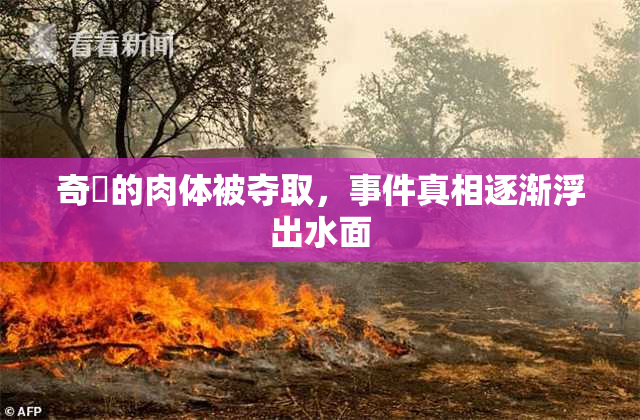 奇犽的肉体被夺取，事件真相逐渐浮出水面
