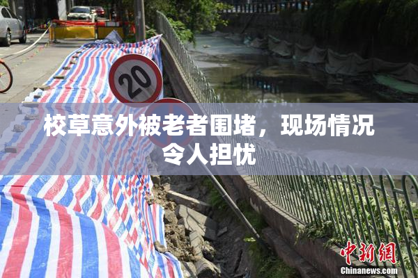 校草意外被老者围堵，现场情况令人担忧
