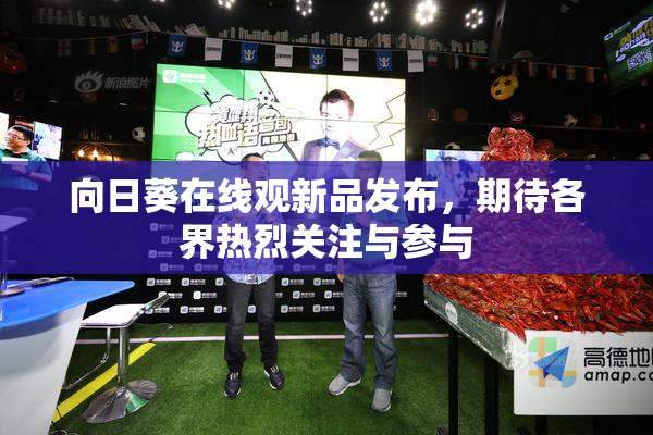 向日葵在线观新品发布，期待各界热烈关注与参与