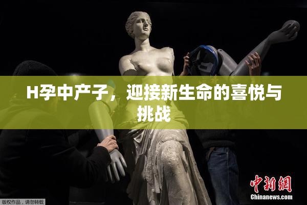 H孕中产子，迎接新生命的喜悦与挑战