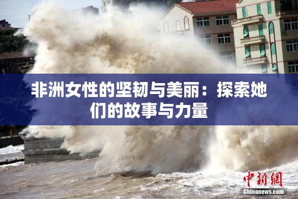 非洲女性的坚韧与美丽：探索她们的故事与力量