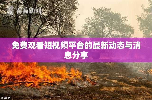 免费观看短视频平台的最新动态与消息分享
