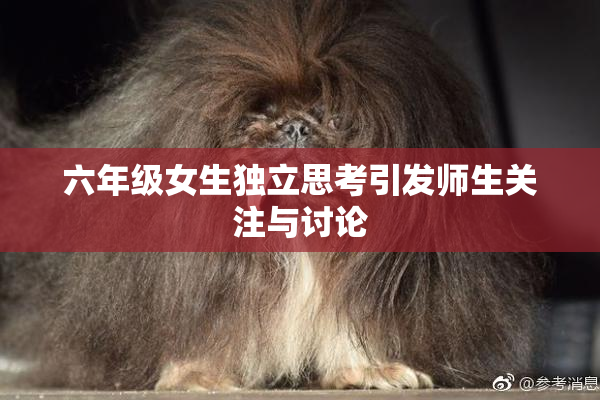 六年级女生独立思考引发师生关注与讨论