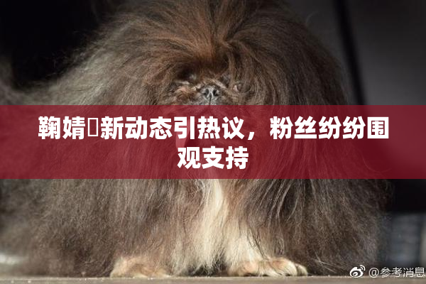 鞠婧祎新动态引热议，粉丝纷纷围观支持
