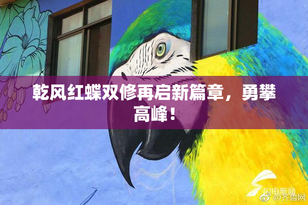 乾风红蝶双修再启新篇章，勇攀高峰！