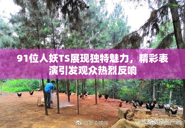 91位人妖TS展现独特魅力，精彩表演引发观众热烈反响