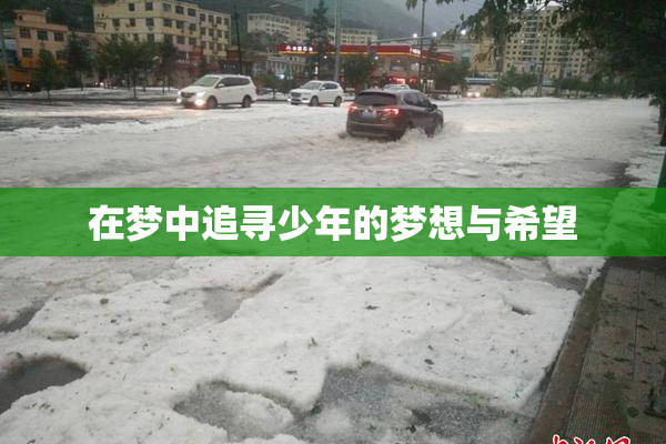 在梦中追寻少年的梦想与希望