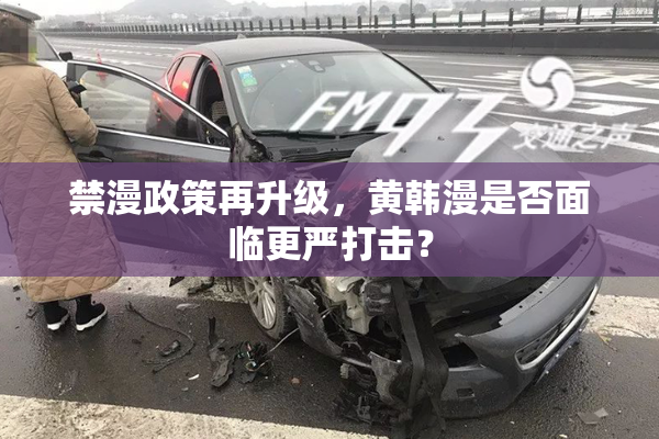禁漫政策再升级，黄韩漫是否面临更严打击？