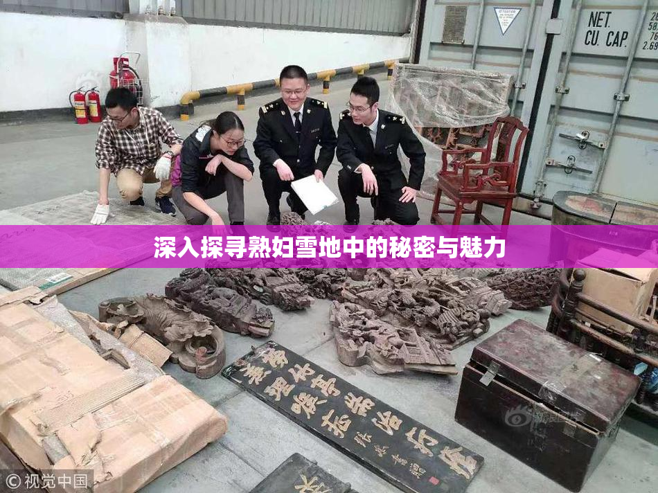 深入探寻熟妇雪地中的秘密与魅力