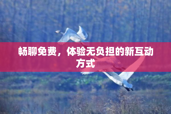 畅聊免费，体验无负担的新互动方式