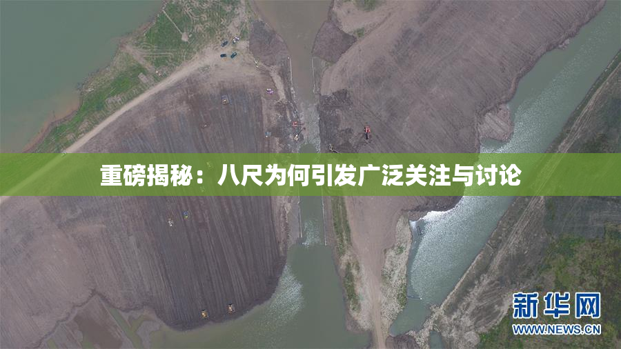 重磅揭秘：八尺为何引发广泛关注与讨论
