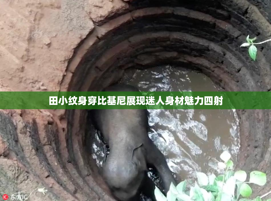 田小纹身穿比基尼展现迷人身材魅力四射