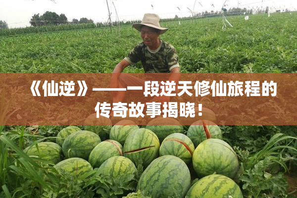 《仙逆》——一段逆天修仙旅程的传奇故事揭晓！