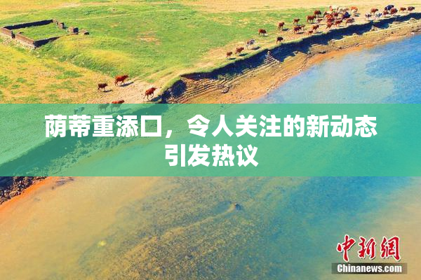 荫蒂重添囗，令人关注的新动态引发热议