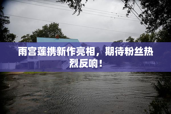 雨宫莲携新作亮相，期待粉丝热烈反响！