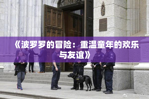 《波罗罗的冒险：重温童年的欢乐与友谊》