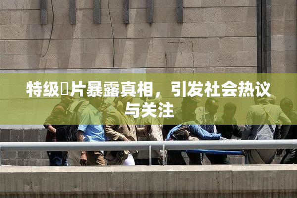 特级婬片暴露真相，引发社会热议与关注